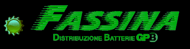 Logo Fassina